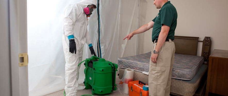 Port St. Lucie, FL mold removal process